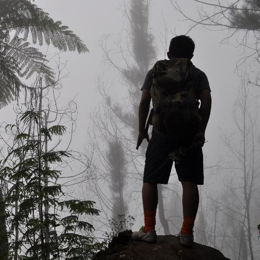 Adi Kurniawan | Nda