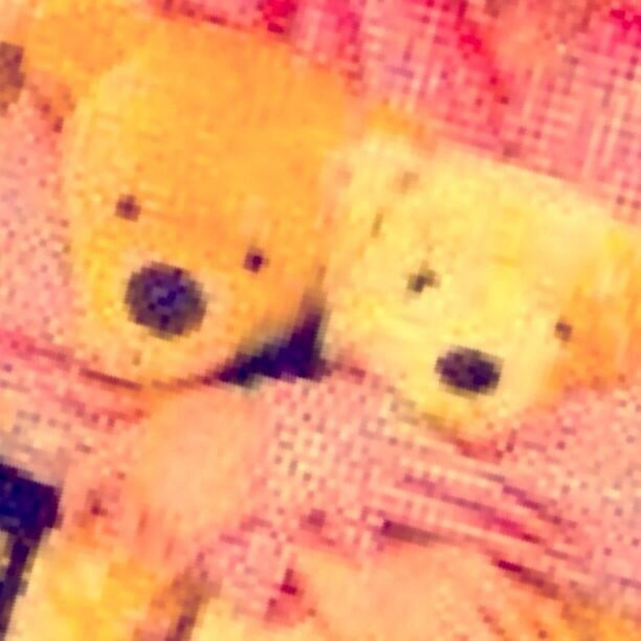 isasakamasaki's profile picture. 誰得映画＆読書記録アカウント化