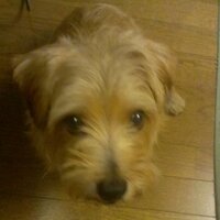 ようこ (@taka7979123) 's Twitter Profile