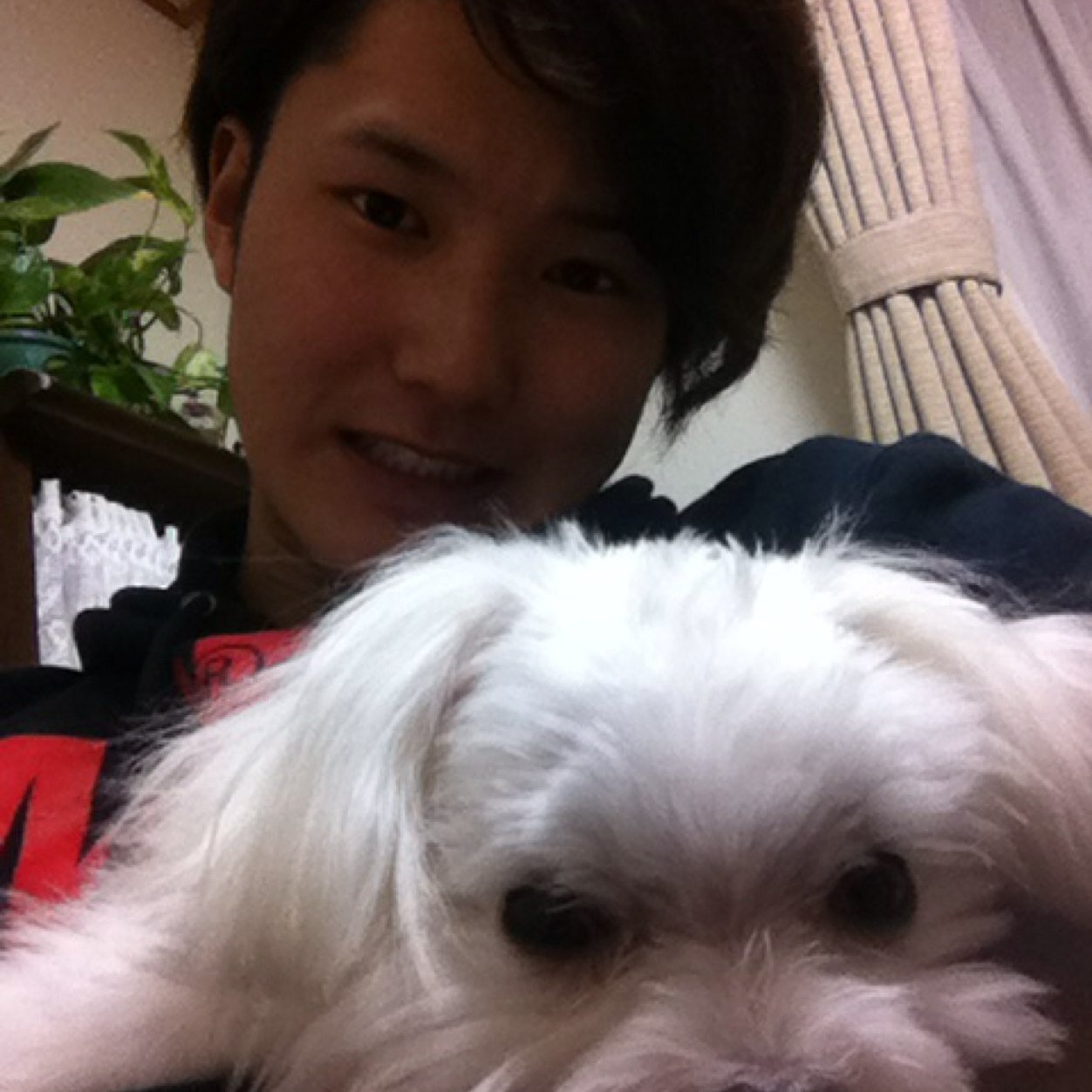 pocky_ko's profile picture. 