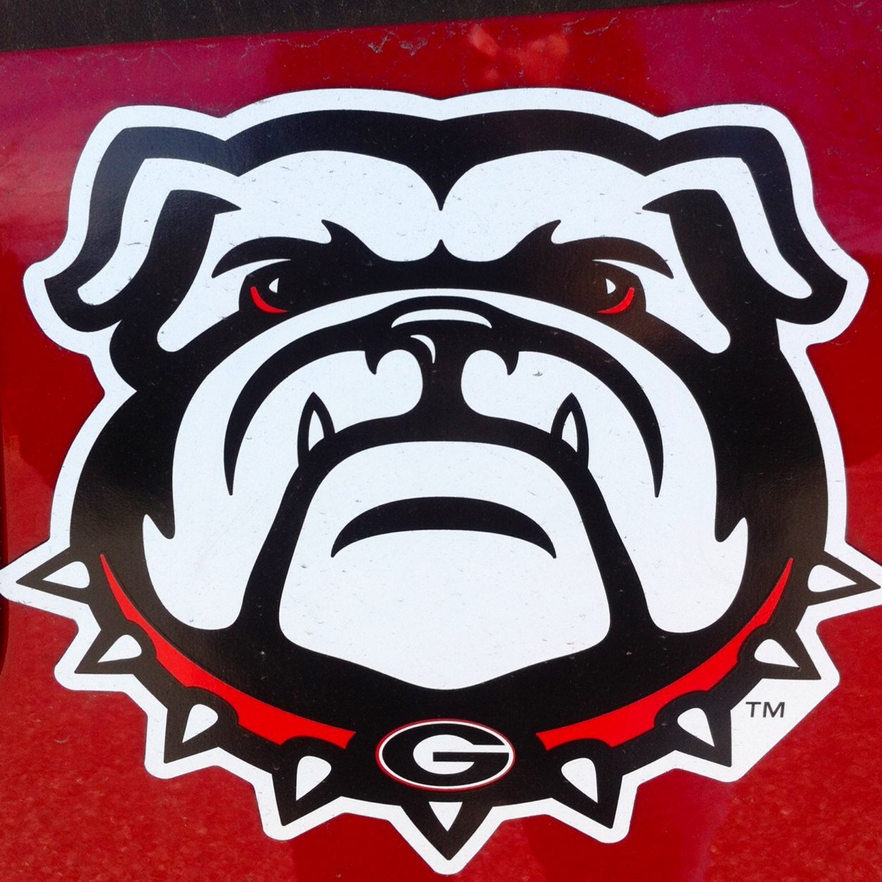 University Of Georgia Grounds Crew providing best atheletic fields in the world! Go dawgs!