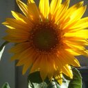 Deb Evans - @debbieevans6707 - Twitter