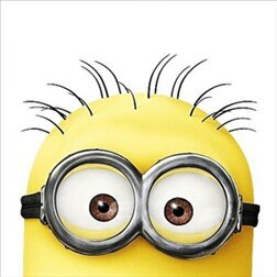 Servir Gru