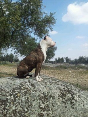 VictorCabeza18's profile picture. 