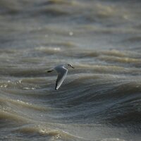 Christophe Breschi (@christophebresc) 's Twitter Profile