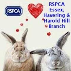 Tweets direct from the RSPCA Essex, Havering and Harold Hill branch. Follow us for news, updates & how to get involved with volunteering & supporting us.