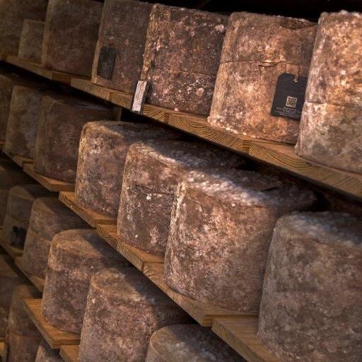 bodnantdairy's profile picture. The award winning Bodnant Dairy is a core part of Bodnant Welsh Food Centre, producing Artisan Cheese and Butter based on traditional, regional recipes.