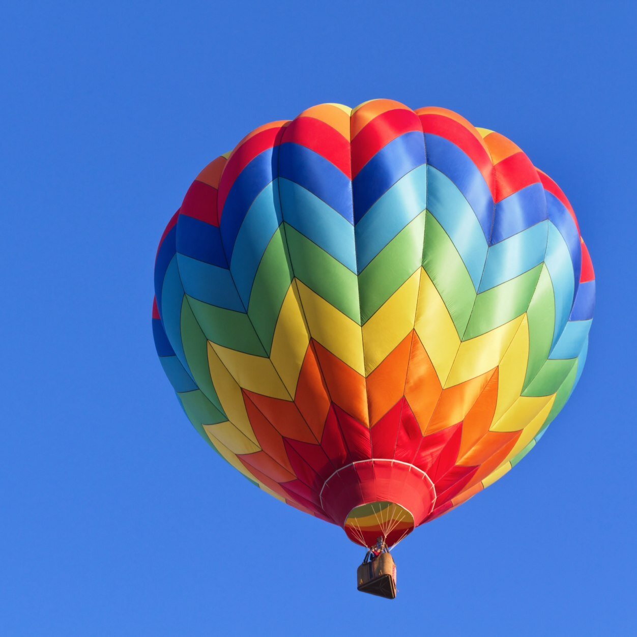 czeregak's profile picture. Venezolano