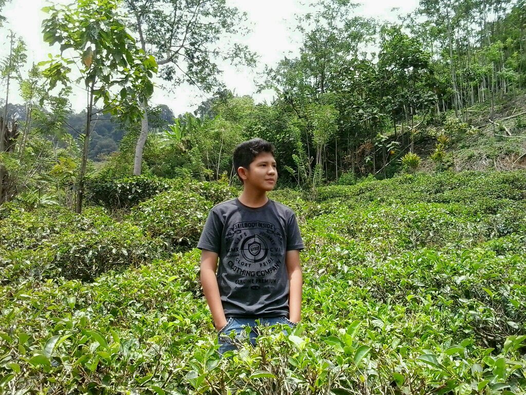 ARIAriari103's profile picture. 