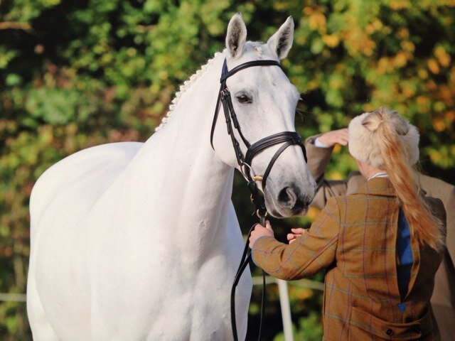 Head Girl at Griffith Eventing, Amateur Event Rider, very lucky to be supported by Optimum Performance Saddles.