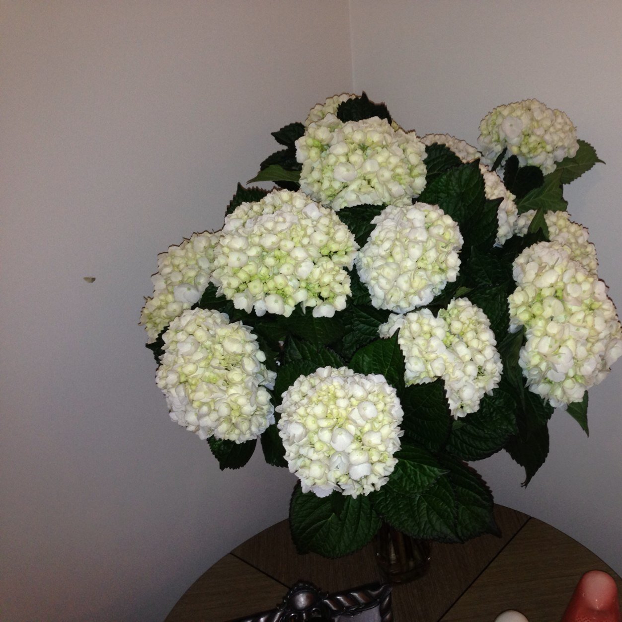 Flores de Colombia con calidad de exportacion en su hogar, oficina o evento a domicilio