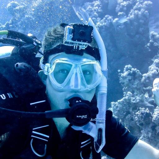 martijnroskam's profile picture. Home is where the WiFi is | #internet #IoT #WordPress #Mendix #HomeAssistant #drones #photo #video #technology #dogs #cats