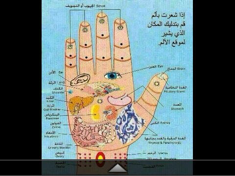 لكل ما ترده وكل ماتريد انت تعرفة وتستفيد منه هذا الحساب متنوع يعلمك عن مشكلات حياتك وكل مشكله ولها حل باذن الله
