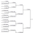 CodersBracket's profile image