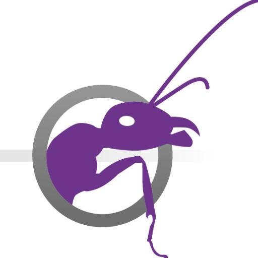 La SARL INSECTO et son INSECTO Bus fait découvrir le monde du vivant à travers la découverte des insectes dans les écoles et les communes.