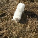 max herrera - @maxherrerad - Twitter