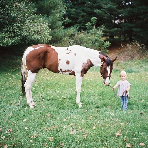Flying Colors Farm*Bugged With Honor*A Cherokee Chance*Barrel Racing-Paints-Eventing-Thoroughbreds-Aussies Full/Mini! Fantasy-Sci Fi-Dance-Fashion