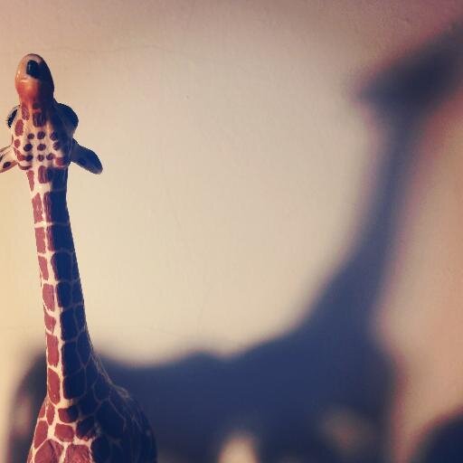 rainrainbowchou's profile picture. 