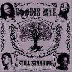 blogger(sorda). music enthusiast. fan of hip hop and anything with a good rhythm. favorite group GOODIE MOB