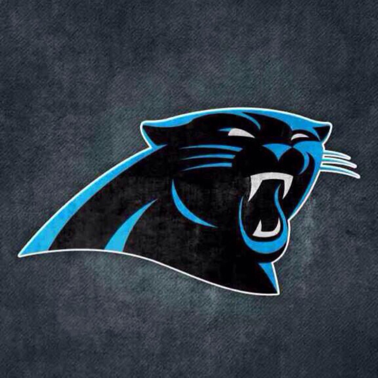 Here for Panthers fans! #KeepPounding