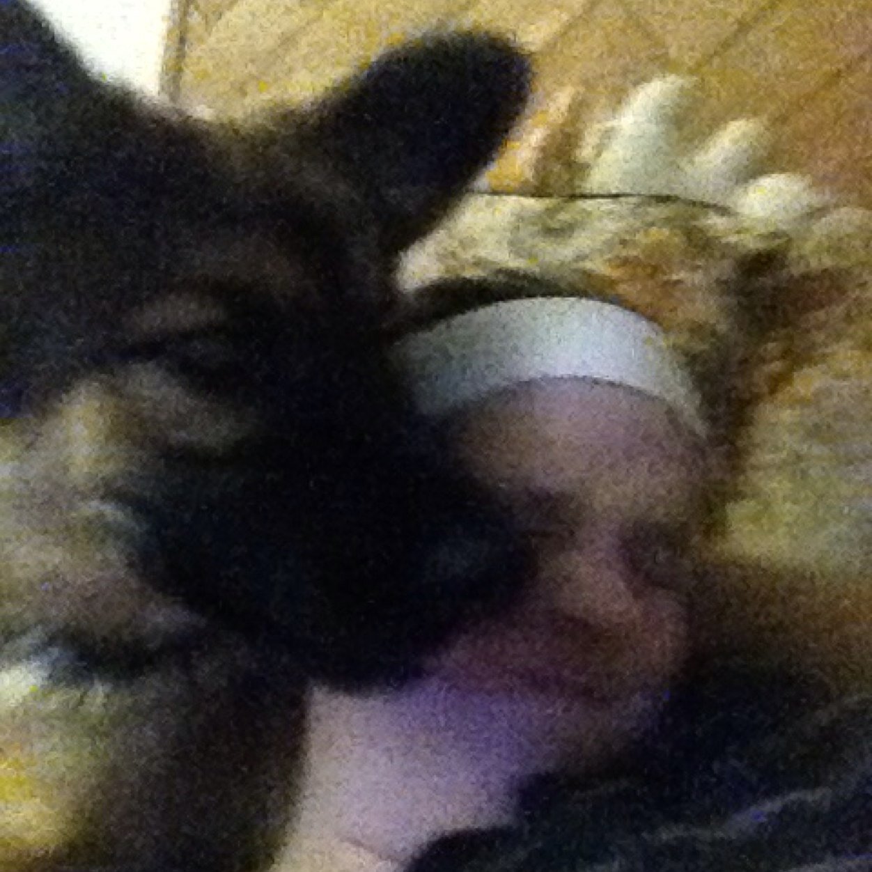 Bullock_69's profile picture. 