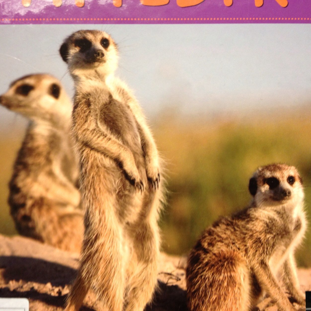 JHvard's profile picture. 