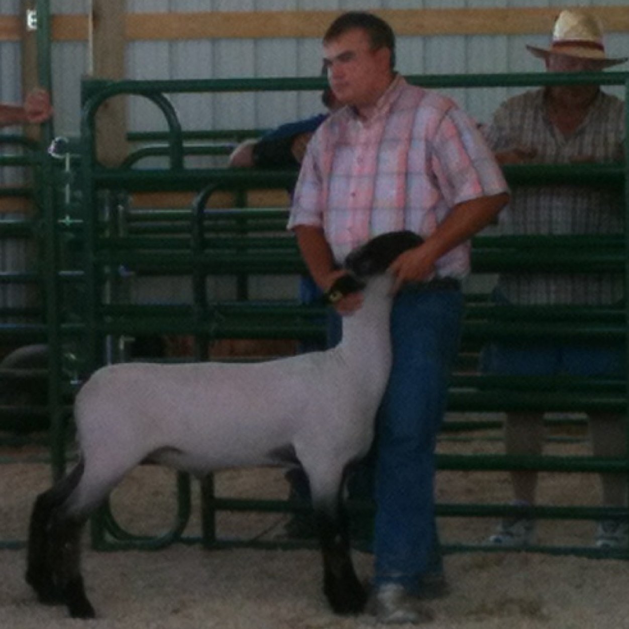 WilliamsOrry's profile picture. 