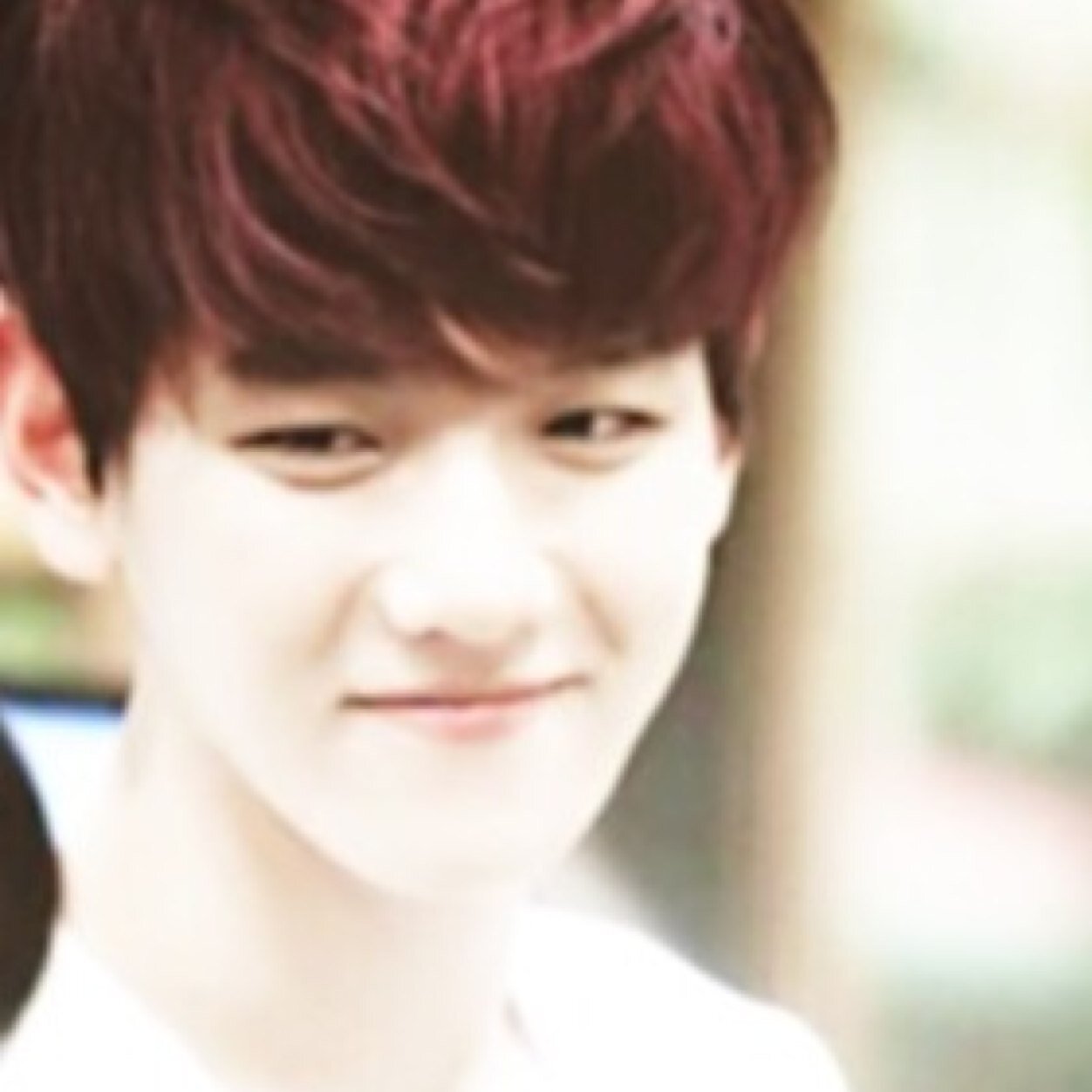 exo k