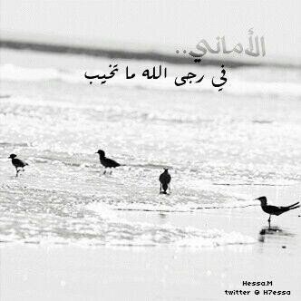 ربي ! قد فوضت أمري إليكك .،♡