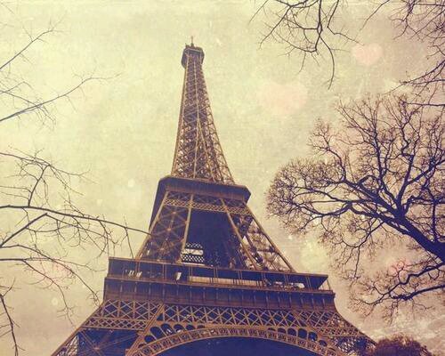 princessfrozen8's profile picture. 