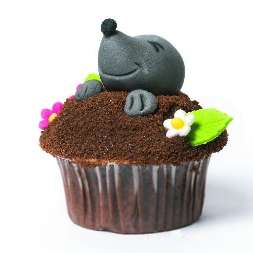 CakePopsHH's profile picture. Cupcakes, Cake Pops, kreative Hochzeits- und Motivtorten, Schokolade, Fudge und indivuelle süße Geschenke.