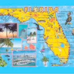 FloridaTVNews's profile picture. 