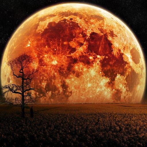 MedianocheES's profile picture. Prodigy the Game. Spanish Community Manager.