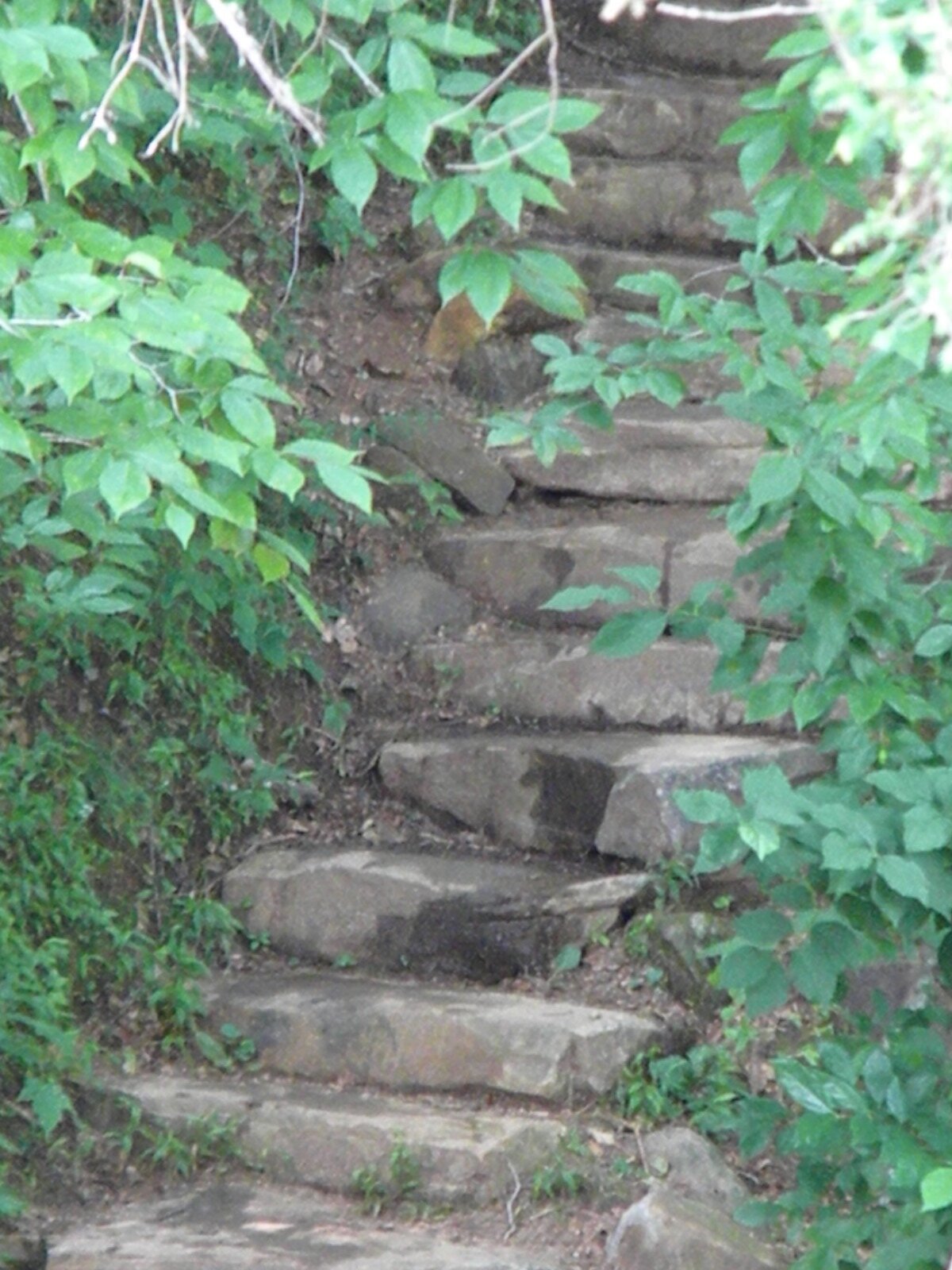 EssieDeeSC's profile picture. 