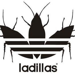 PandillaLadilla's profile picture. TRICAMPEÓN