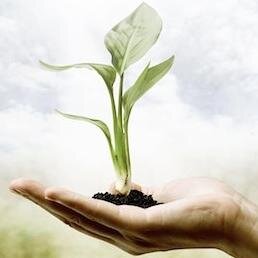 Presbyterian Steward provides ideas, examples, resources, and links for anything related to stewardship.