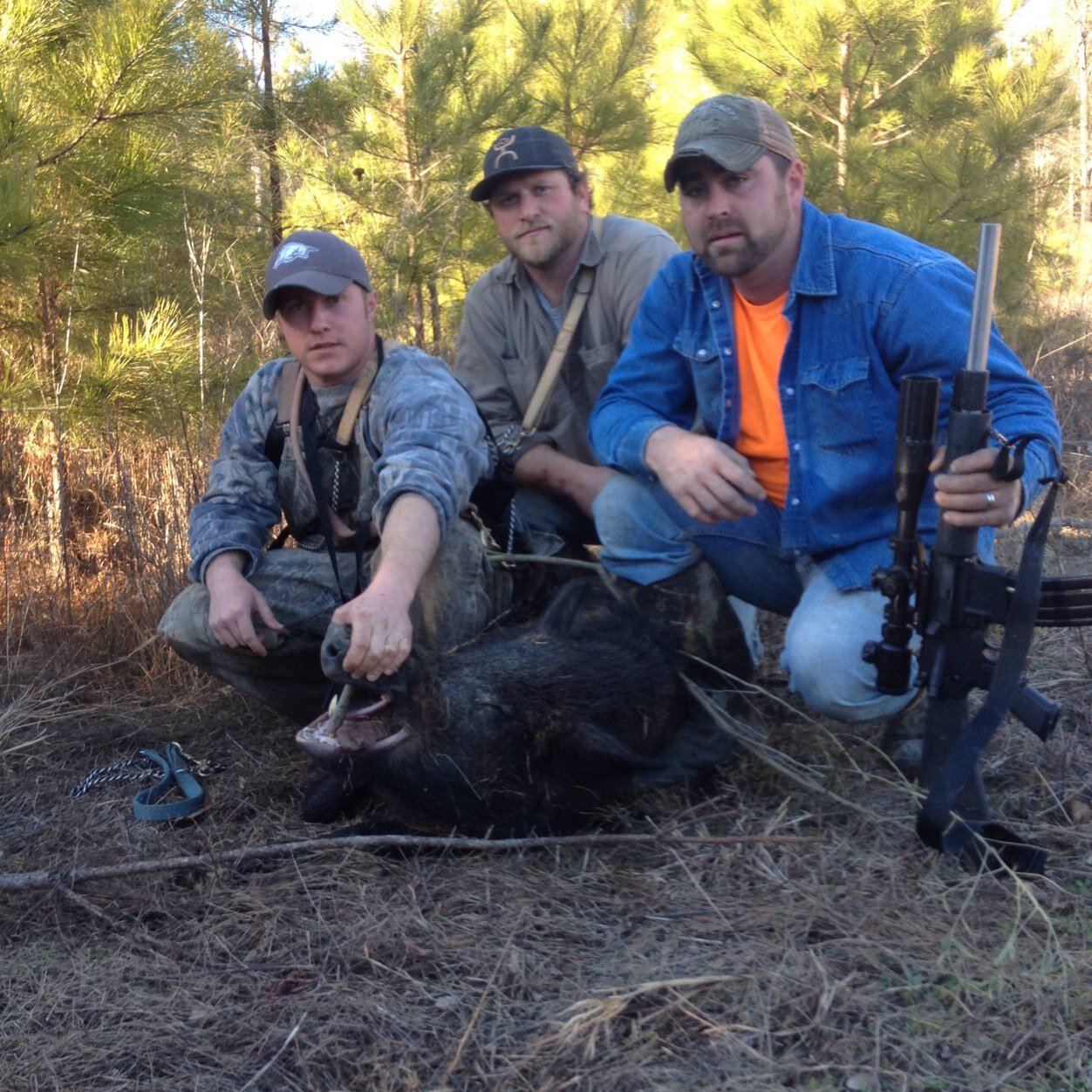 tjtelles's profile picture. 