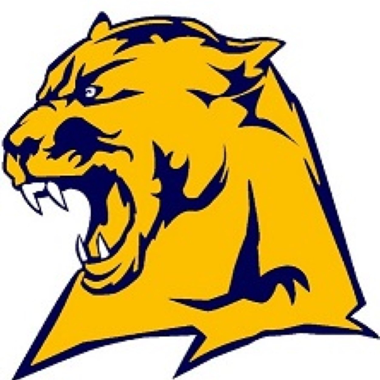 Official Twitter Page of 

Whitmer High School Girls Track & Field                                               
2014 DISTRICT CHAMPIONS