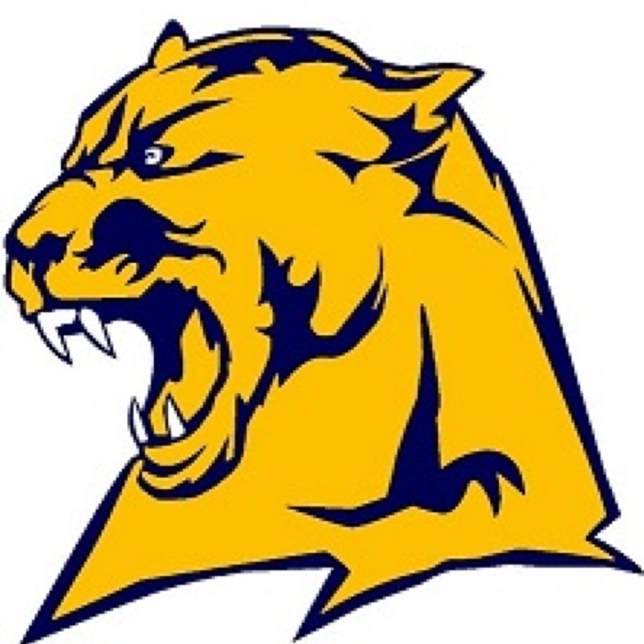 whsgirlstrack's profile picture. Official Twitter Page of 

Whitmer High School Girls Track & Field                                               
2014 DISTRICT CHAMPIONS