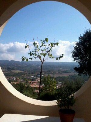 verofalcon85's profile picture. Empresa Joanjardins