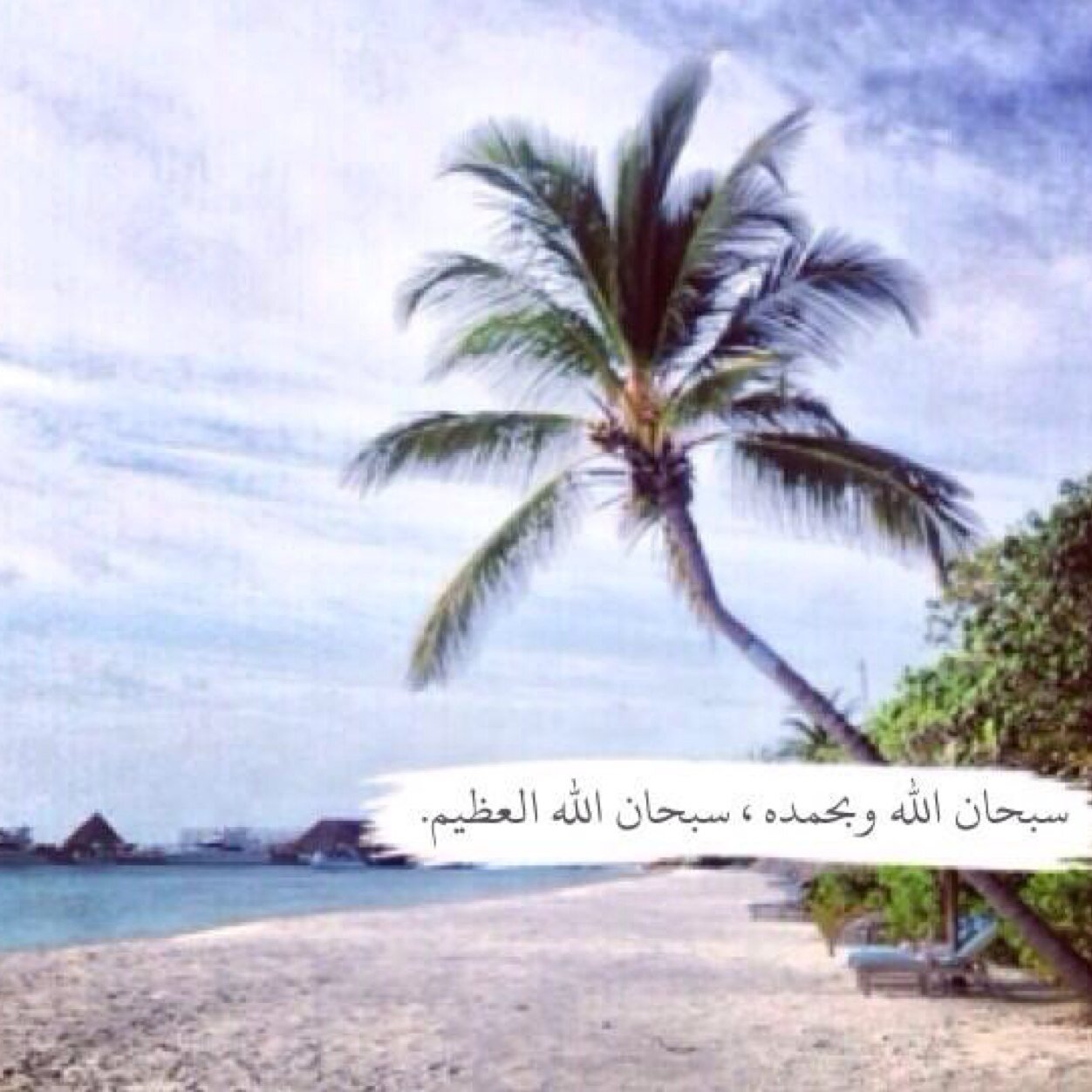اسعدتك بالفولو ؟ اسعدها ورده لها @Mnurez