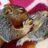 ACWildlife's profile image
