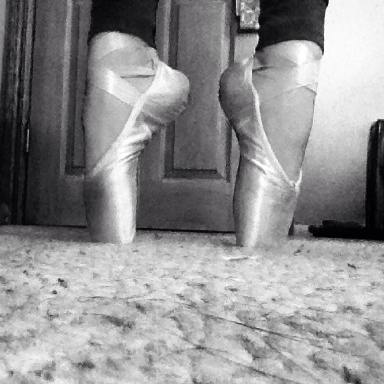 Dancers_world1's profile picture. Slow down ~ Grab the barre ~ Wiggle like your tryna make yo bun fall out!