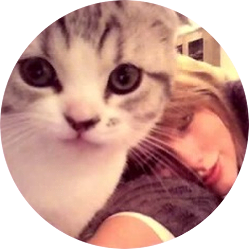 How can a people never met be an exemple for you more than the other people? the answer is just She is Taylor Swift.