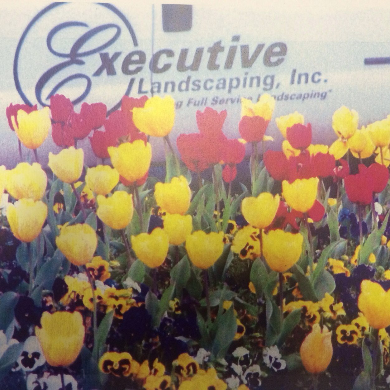 West Georgia based landscaping company
https://t.co/hJdInpPf3d