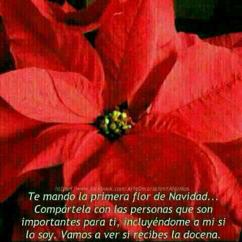 silovi2000_0198's profile picture. Mas vale tarde, que nunca....