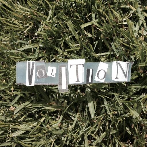 Volition is Jesse Rosen. Director. Writer. Maker. (Jets fan)