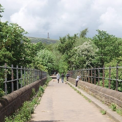 itsdavidwoolley's profile picture. 