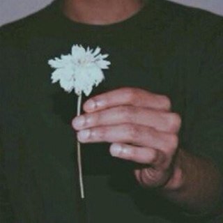 مافيش حاقه
