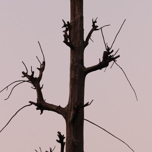 lahenniaj's profile picture. Avid reader, sound listener, pantheist and on hyperactive meds...